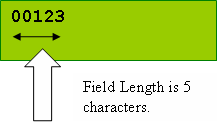 lcd module